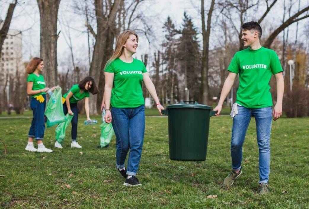 Autumn Leaf Clean-Up in Canberra Using Green Waste Skip Bins