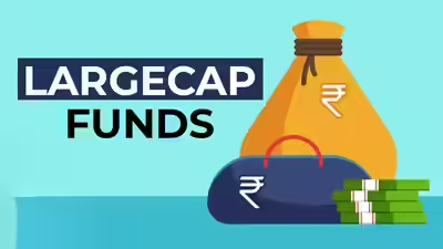 Why are Large Cap funds considered the safest bet for conservative equity investors?