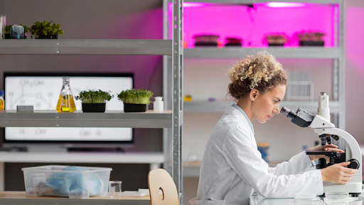Why Protease Research Continues to Shape Modern Biology