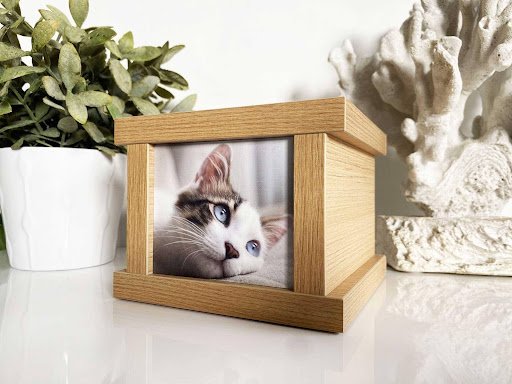A Gentle Way to Remember a Beloved Pet in Delhi