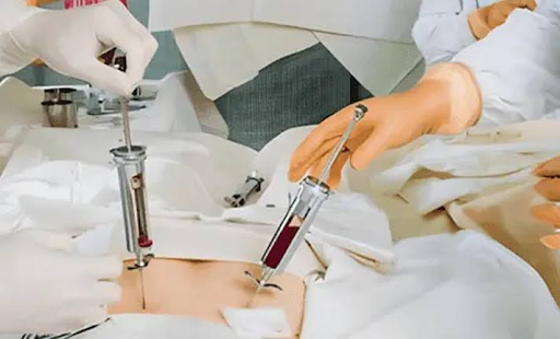 Bone Marrow Transplant: Conditions That May Require the Procedure